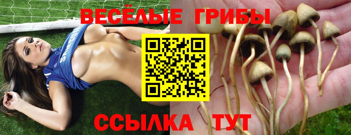 Галлюциногенные грибы Magic Shrooms  Галлюциногенные грибы прущие грибы  Астрахань  Вход с VPN 