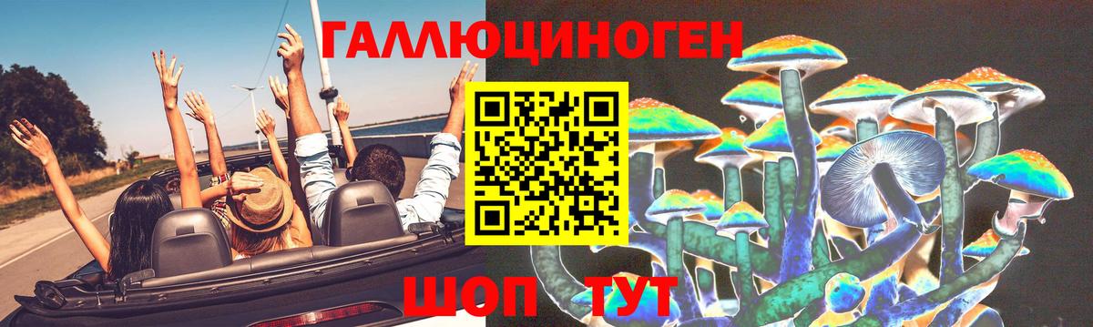 Псилоцибиновые грибы Cubensis Астрахань
